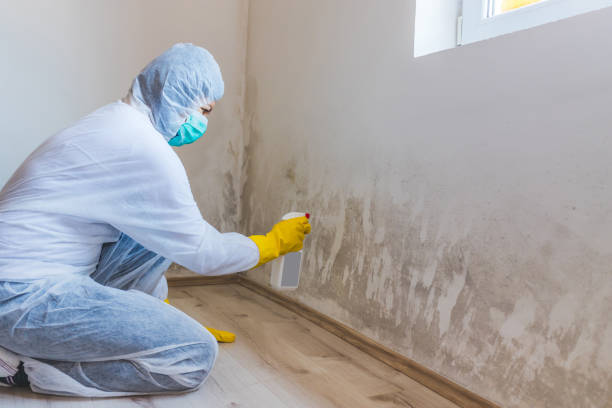 Licensed Bathroom Mold Removal service in Worcester, PA - WQB Mold Removal