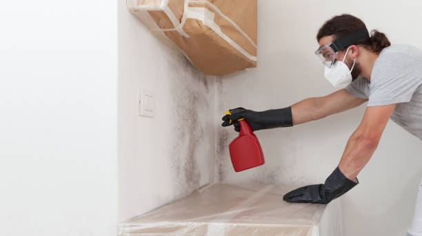 Professional Bathroom Mold Removal technician working in Worcester, PA