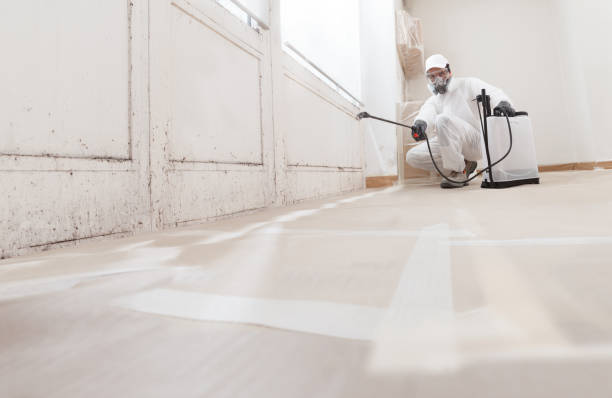 24/7 Emergency Bathroom Mold Removal experts in Worcester, PA
