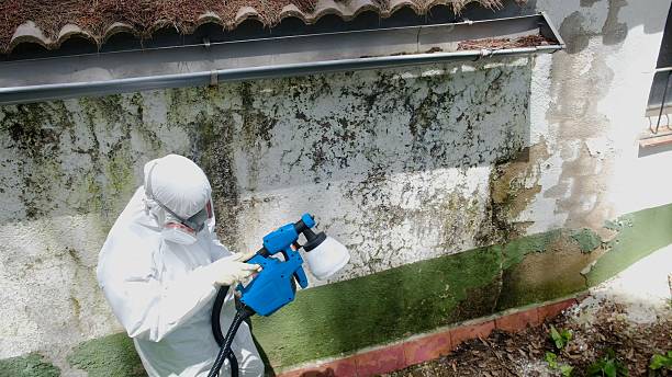 Top rated local Bathroom Mold Removal specialists in Worcester, PA